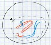 Phase G2