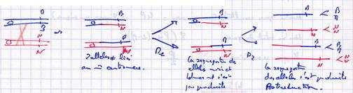 Postréduction