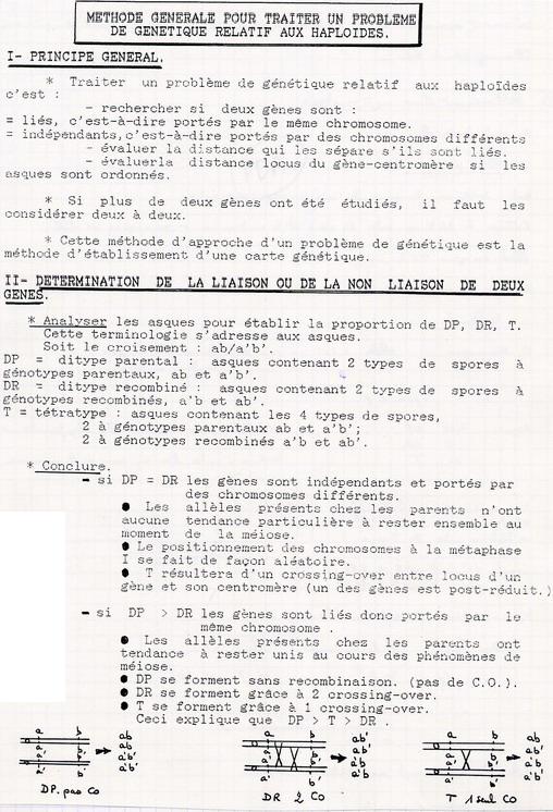 Méthode